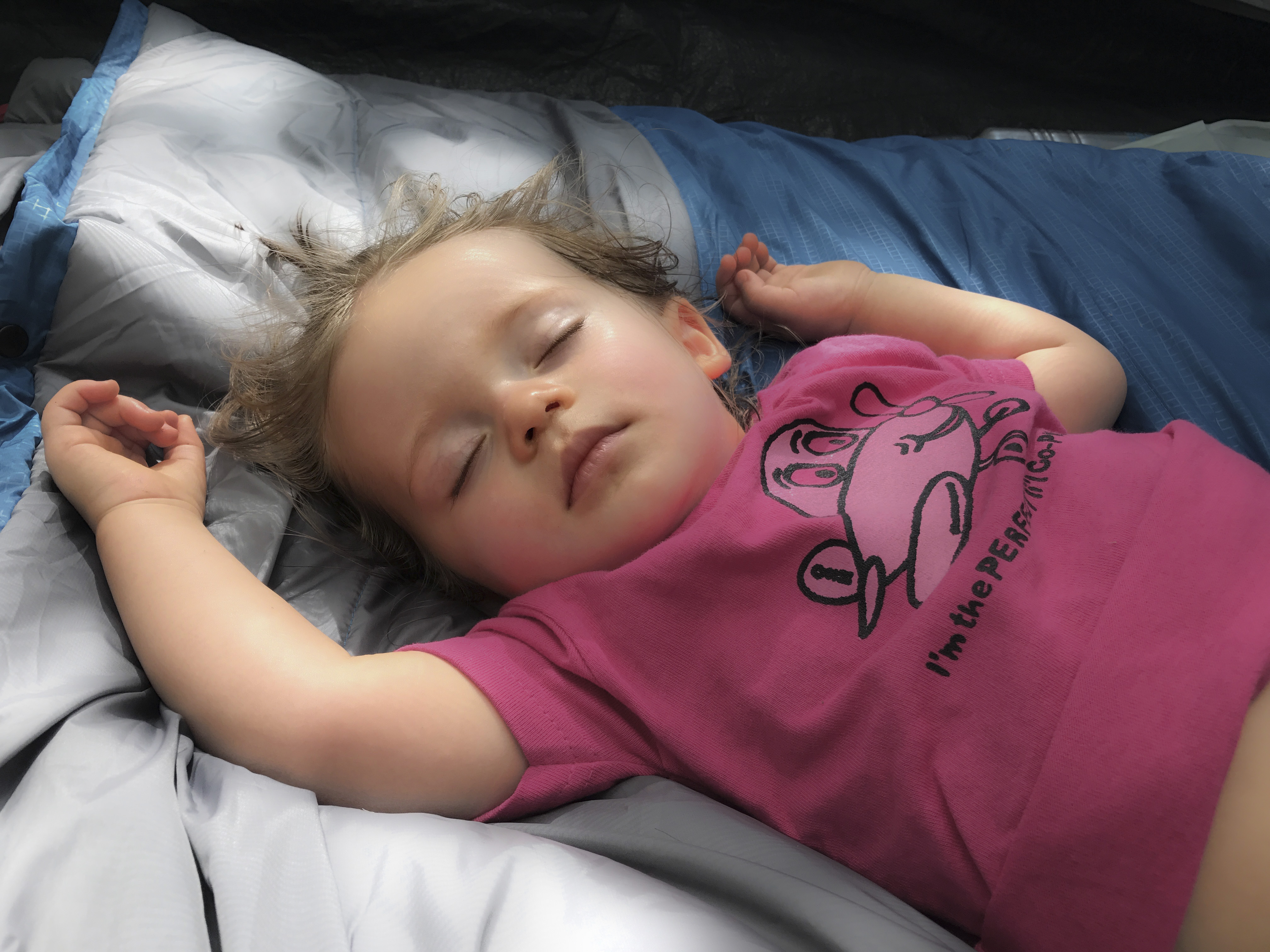 Traveling with a toddler