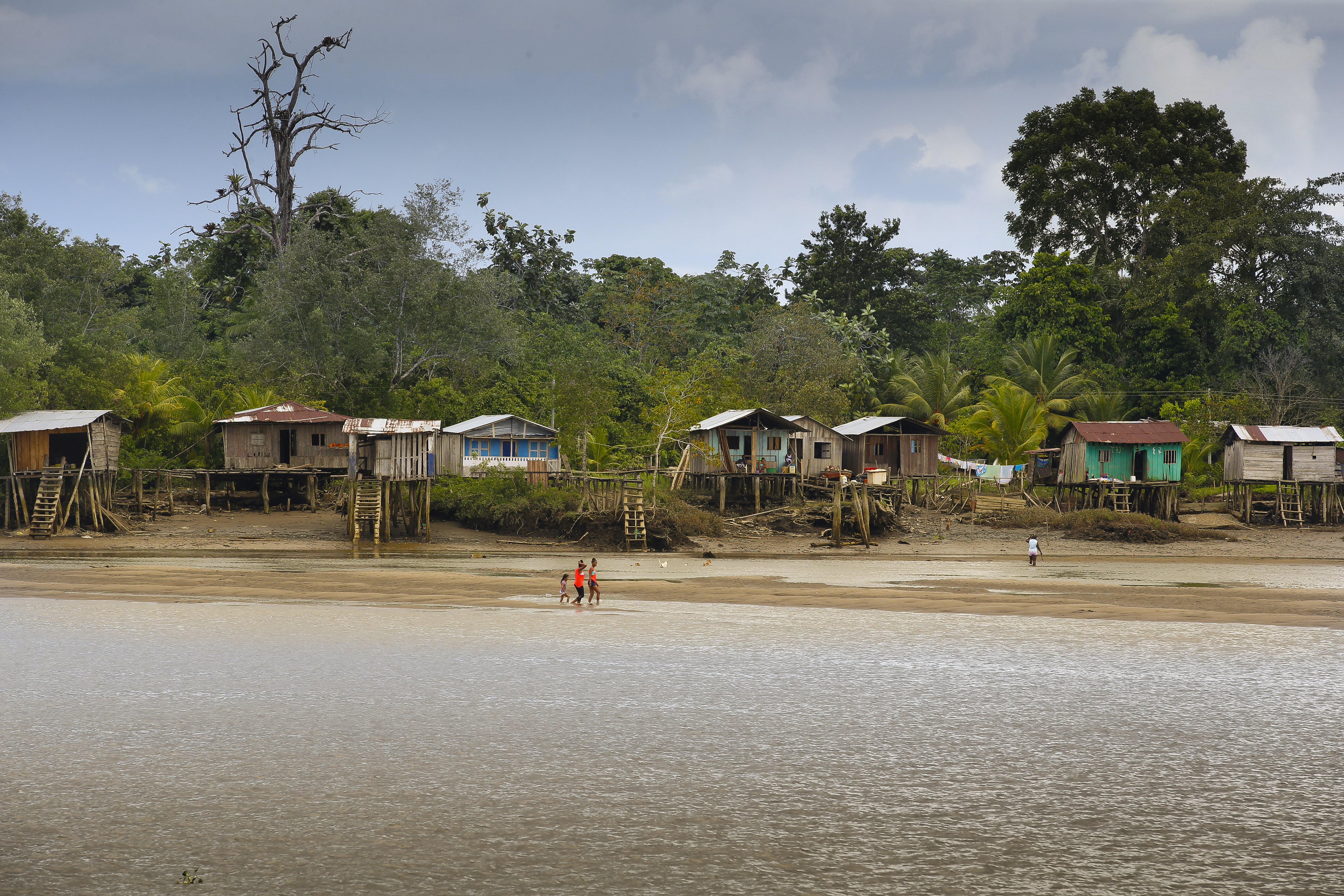 Observing the Patrulla Aerea Civil
