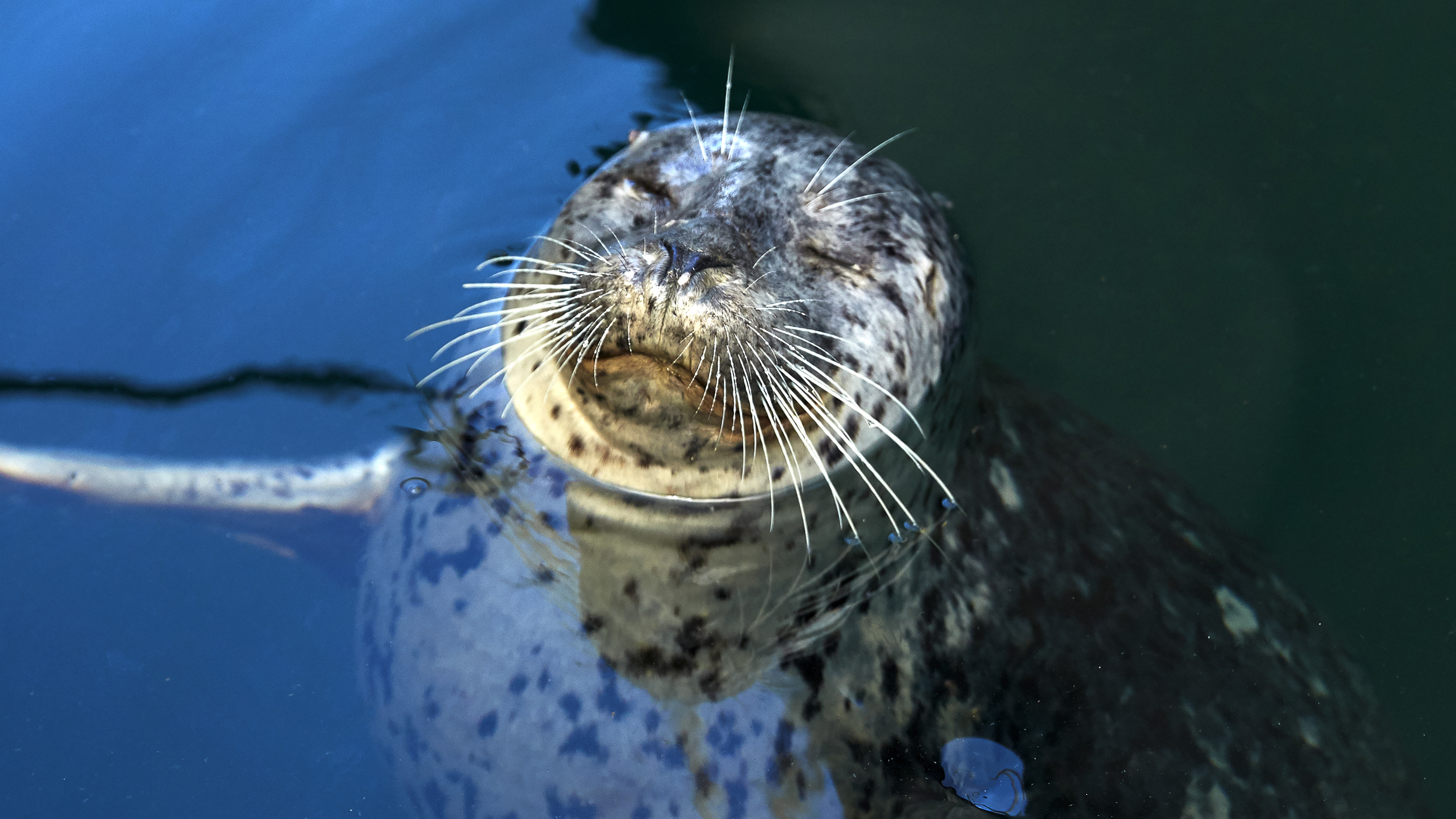 San Juan Islands
