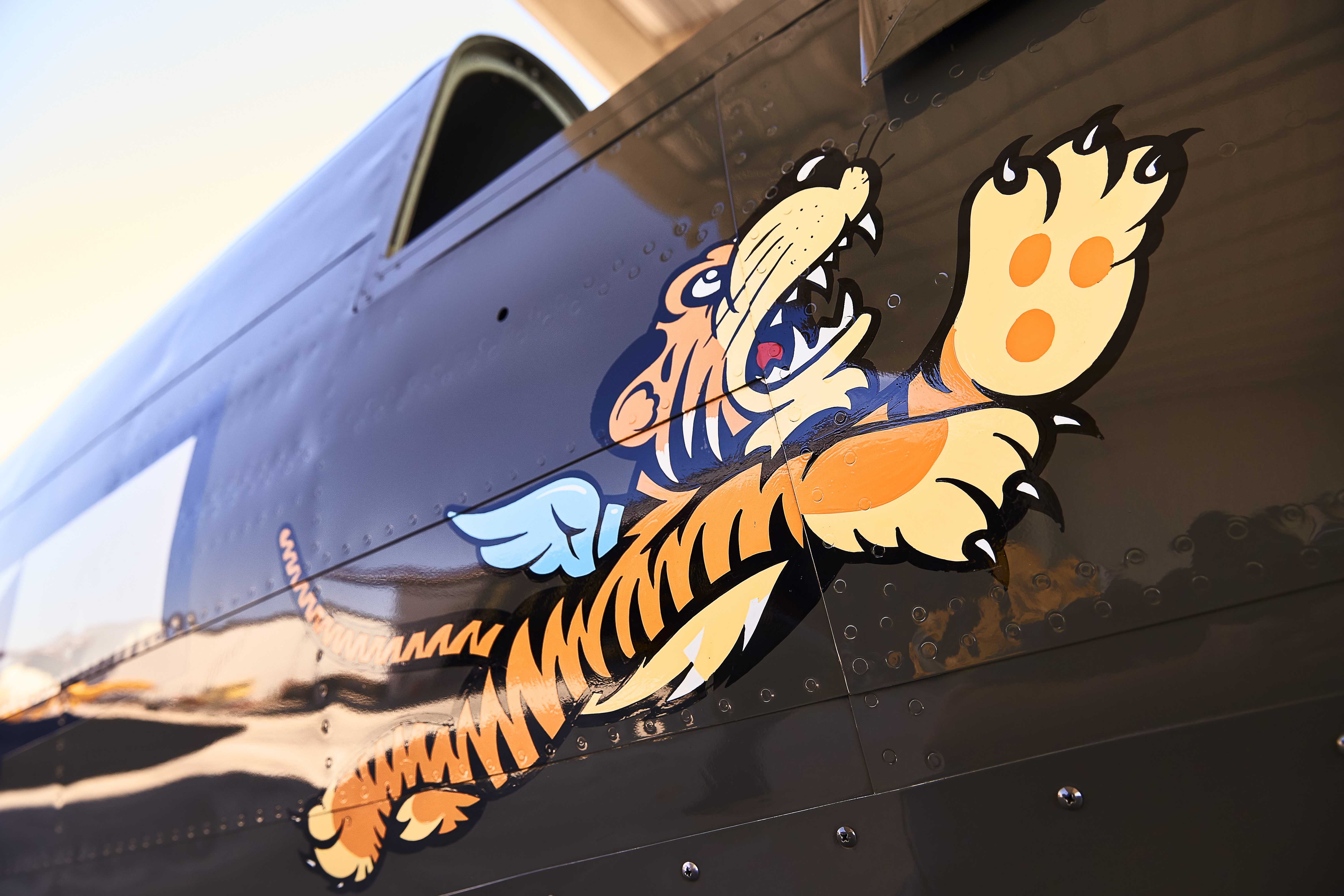 Curtiss P-40 Warhawk