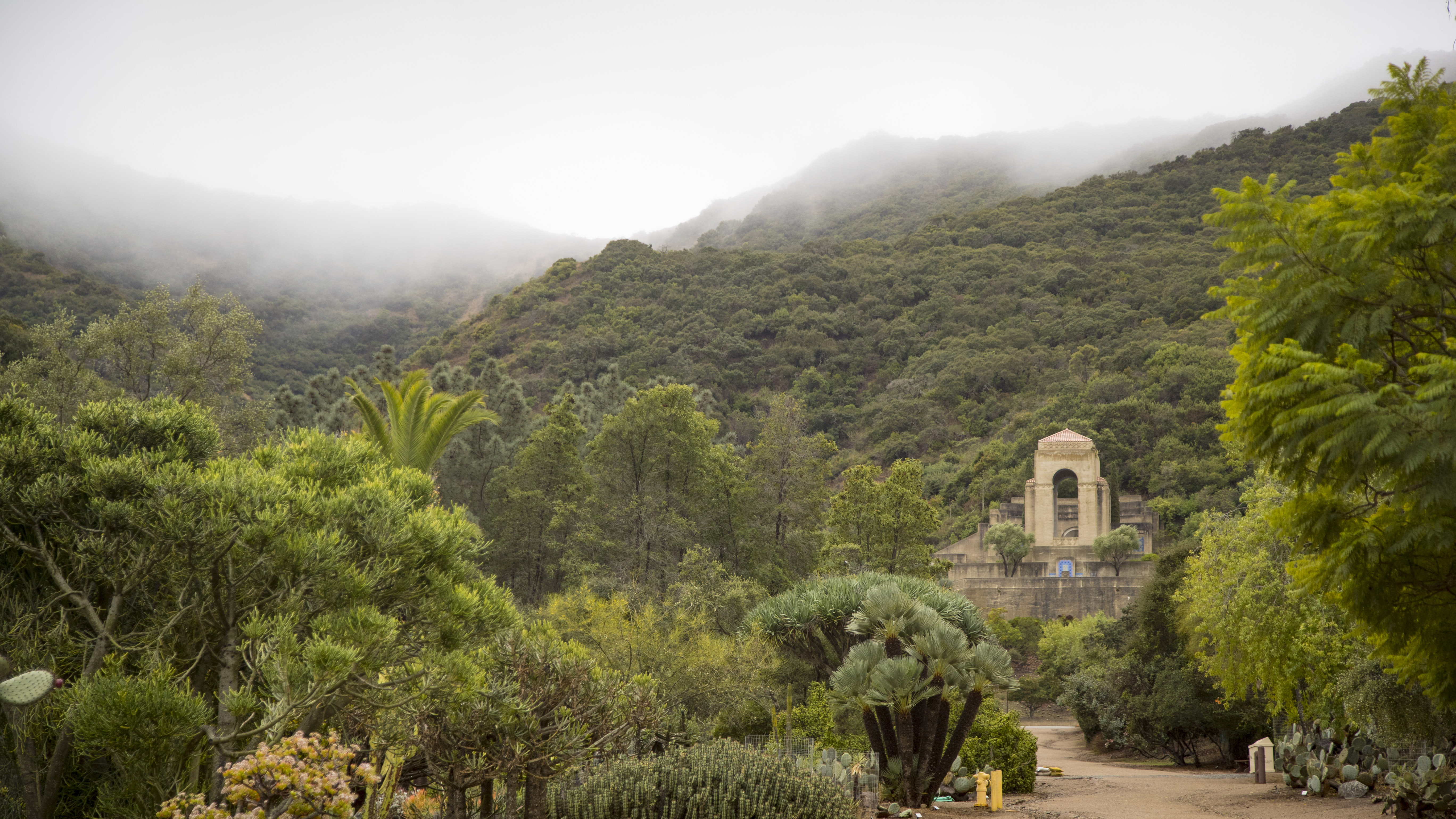 A fog-shrouded look at the Wrigley Memorial and Botanic Gardens.