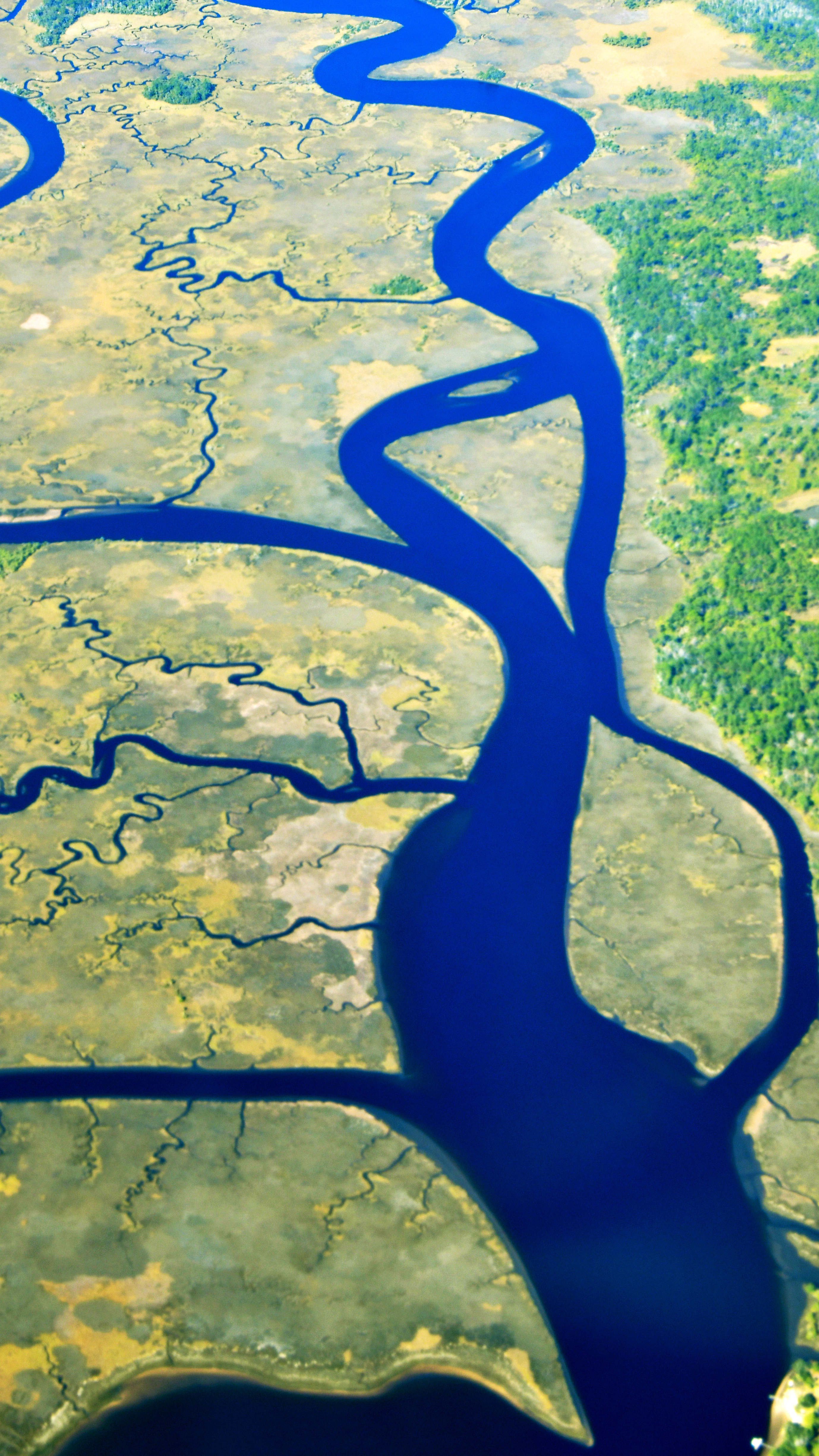OCHLOCKONEE RIVER AND GRASS ISLAND, FLORIDA: 'I was flying back to Portland, Oregon, in the Kodiak, following the west coast of Florida to Texas. The first thing that came to mind when I saw this river system was Woodstock, the little bird from the Peanuts comics. It made me smile when I noticed the river forms his smile and eye—do you see him? I enjoy looking around the landscape for that unusual or unique image.'