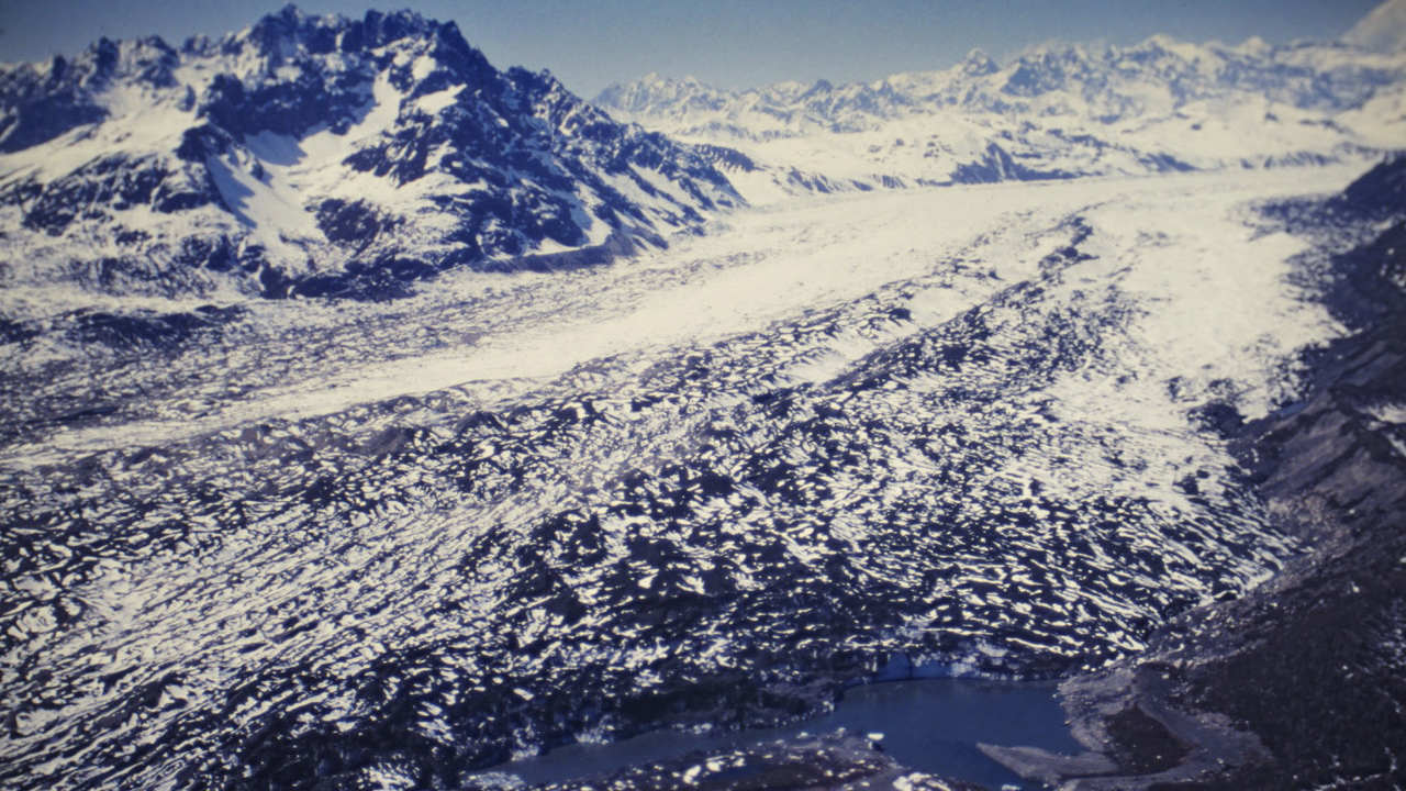 Ruth Glacier Alder Creek, 2019: Photographs of Ruth Glacier Alder Creek, 20 years apart (this and following image)Brian Okonek. 