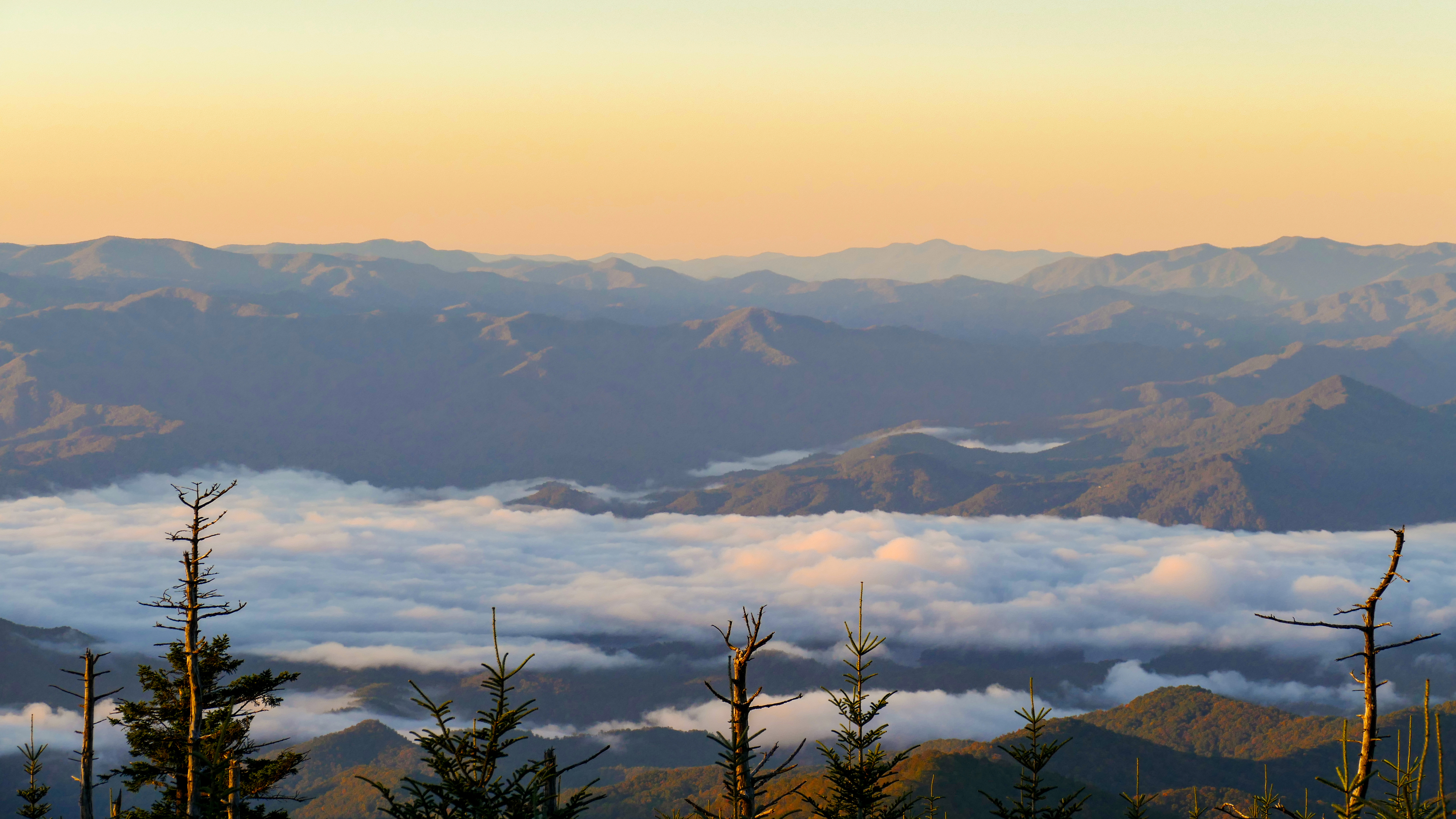 The AT seen from above.