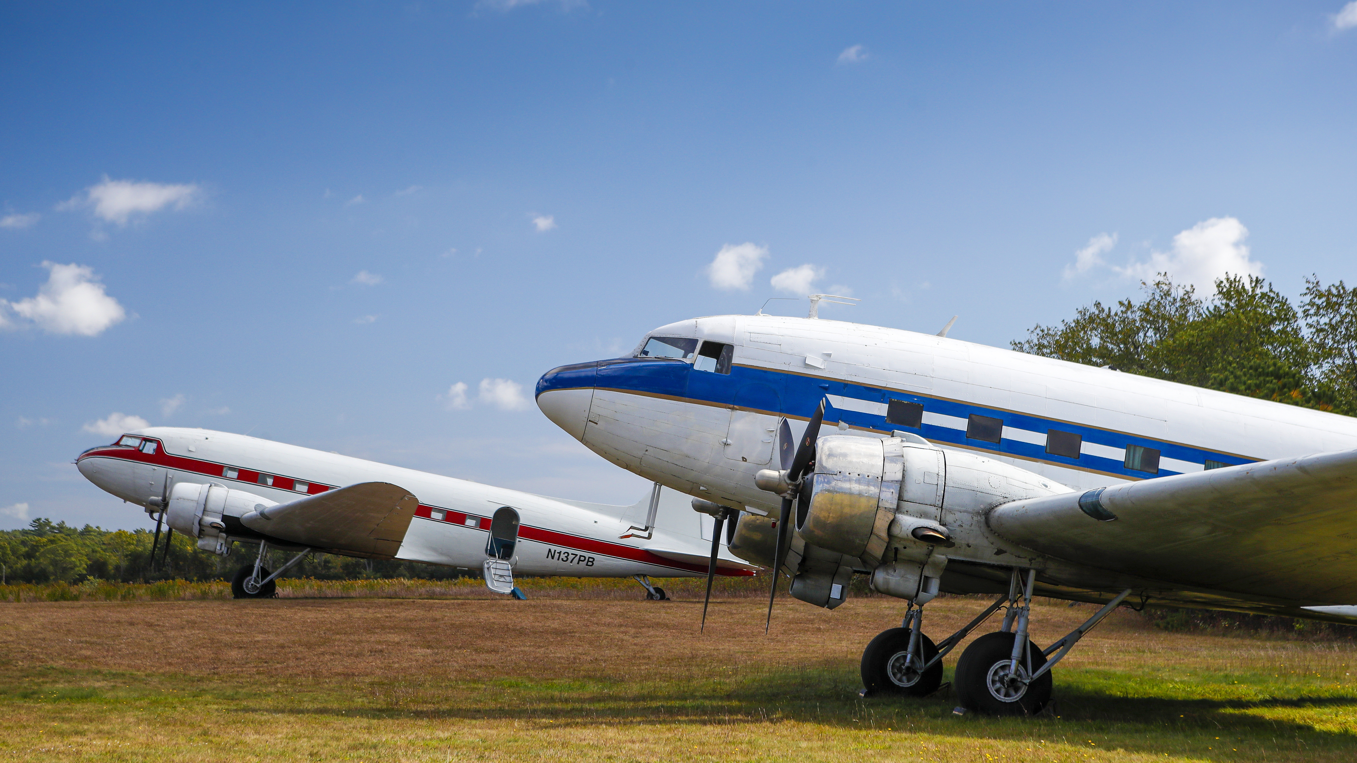 In addition to the two DC–3s, they have three Piper Cubs, two Wacos, two Cessna 182s, a Cessna T–50, and a Cessna 150.