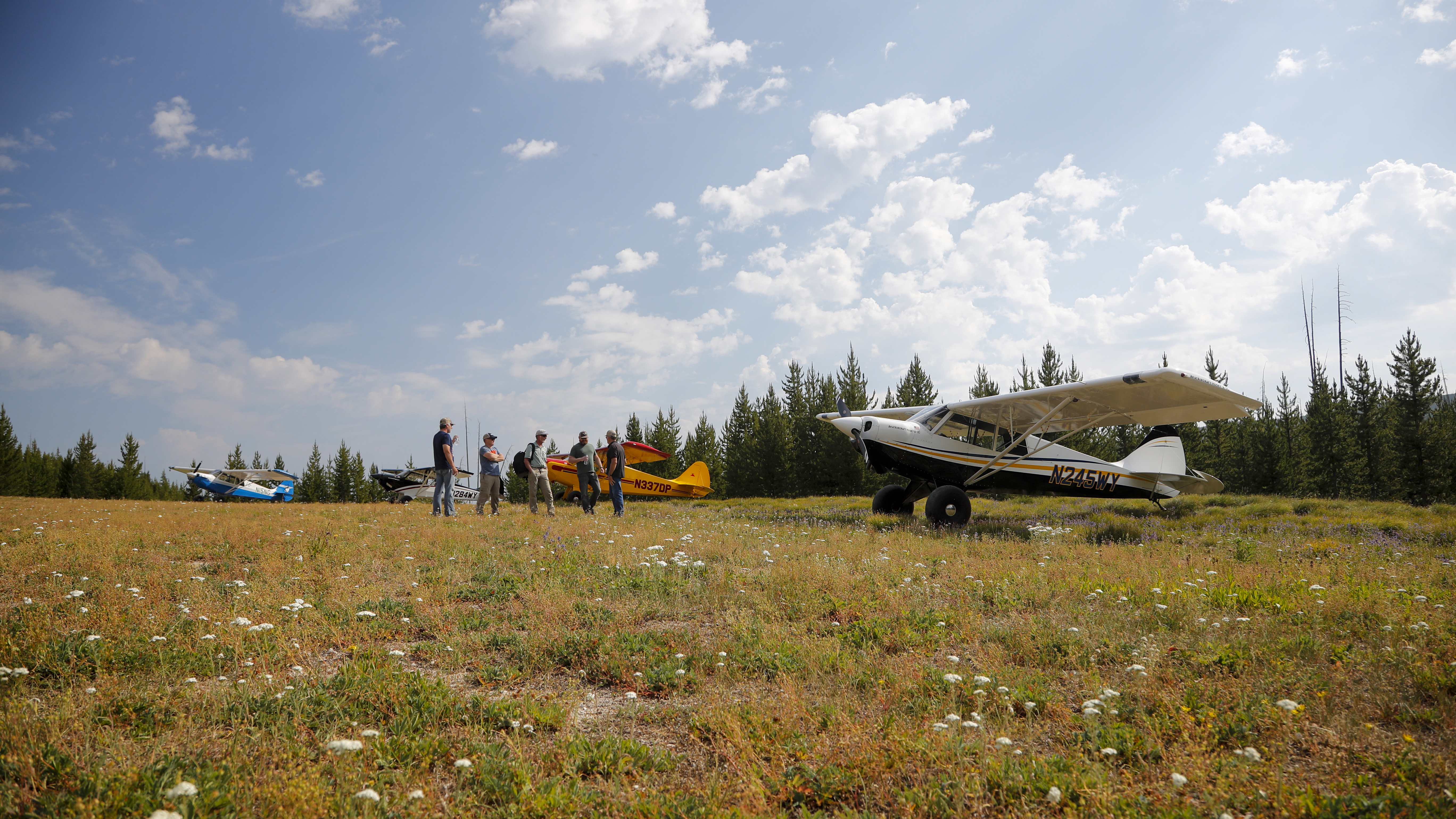 A mountain meadow airstrip covered in wildflowers south of Yellowstone.