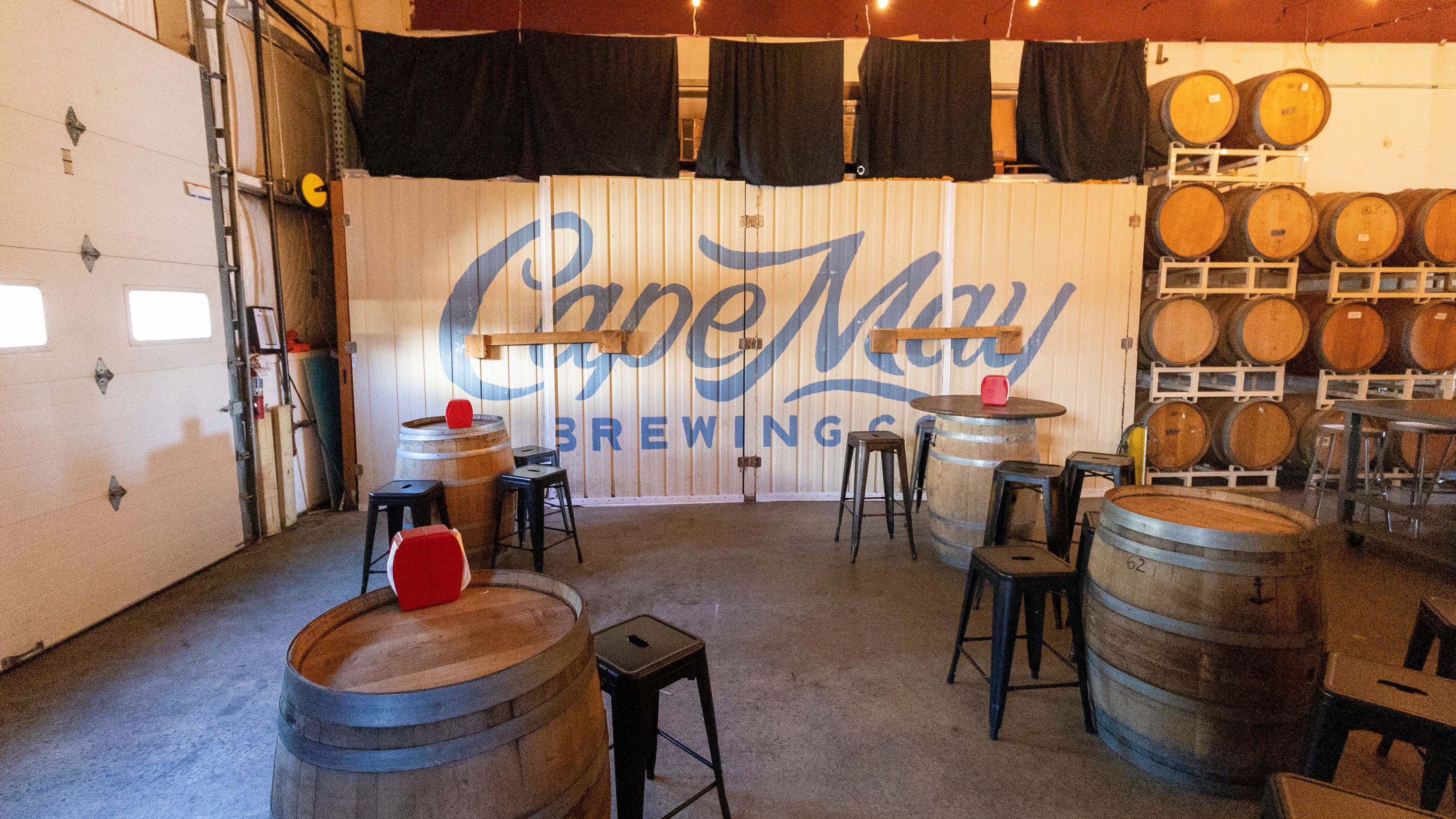 Trip to the Firefly Music Festival