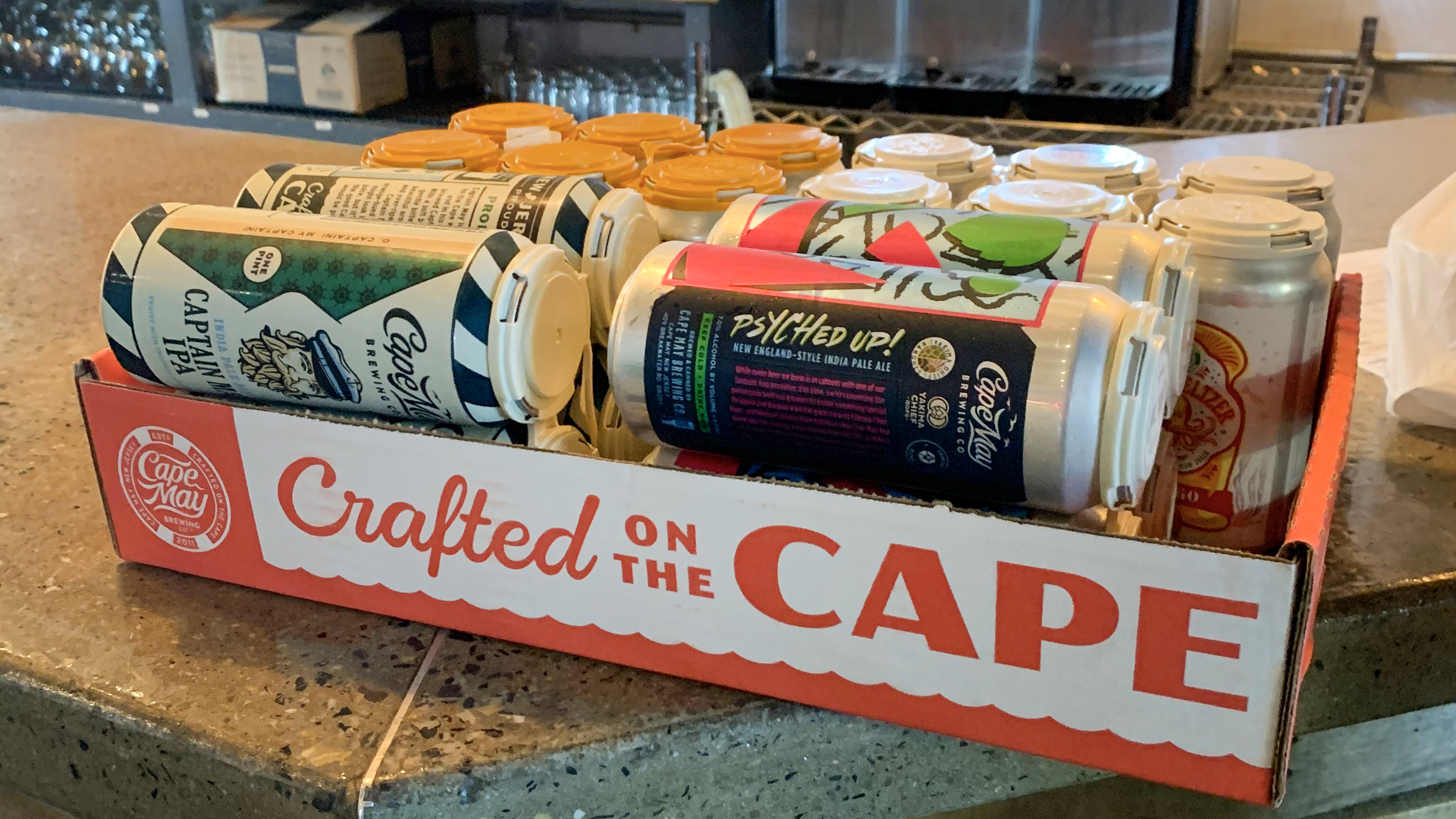 Trip to the Firefly Music Festival