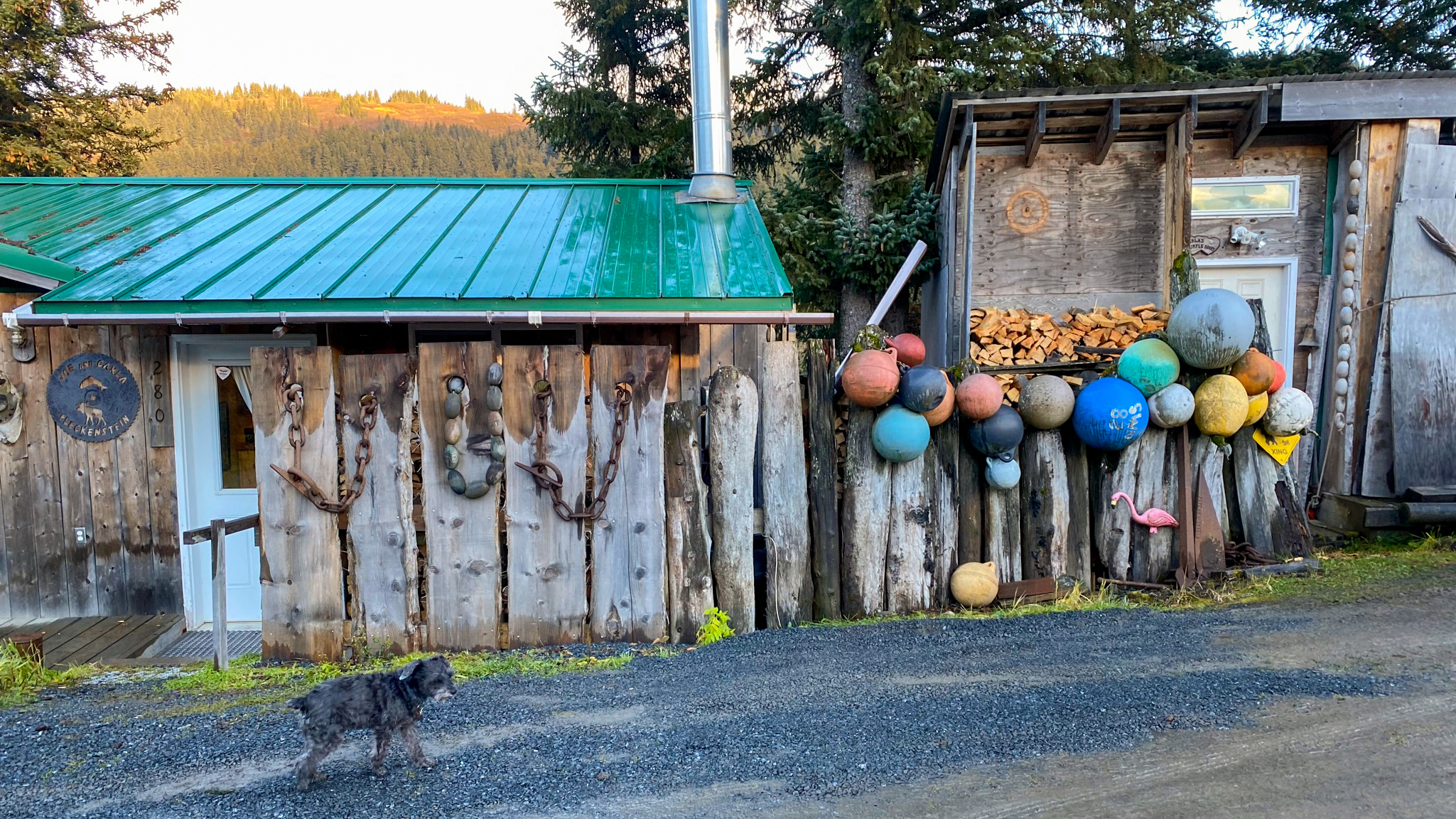 A local pup accompanies the group through town.