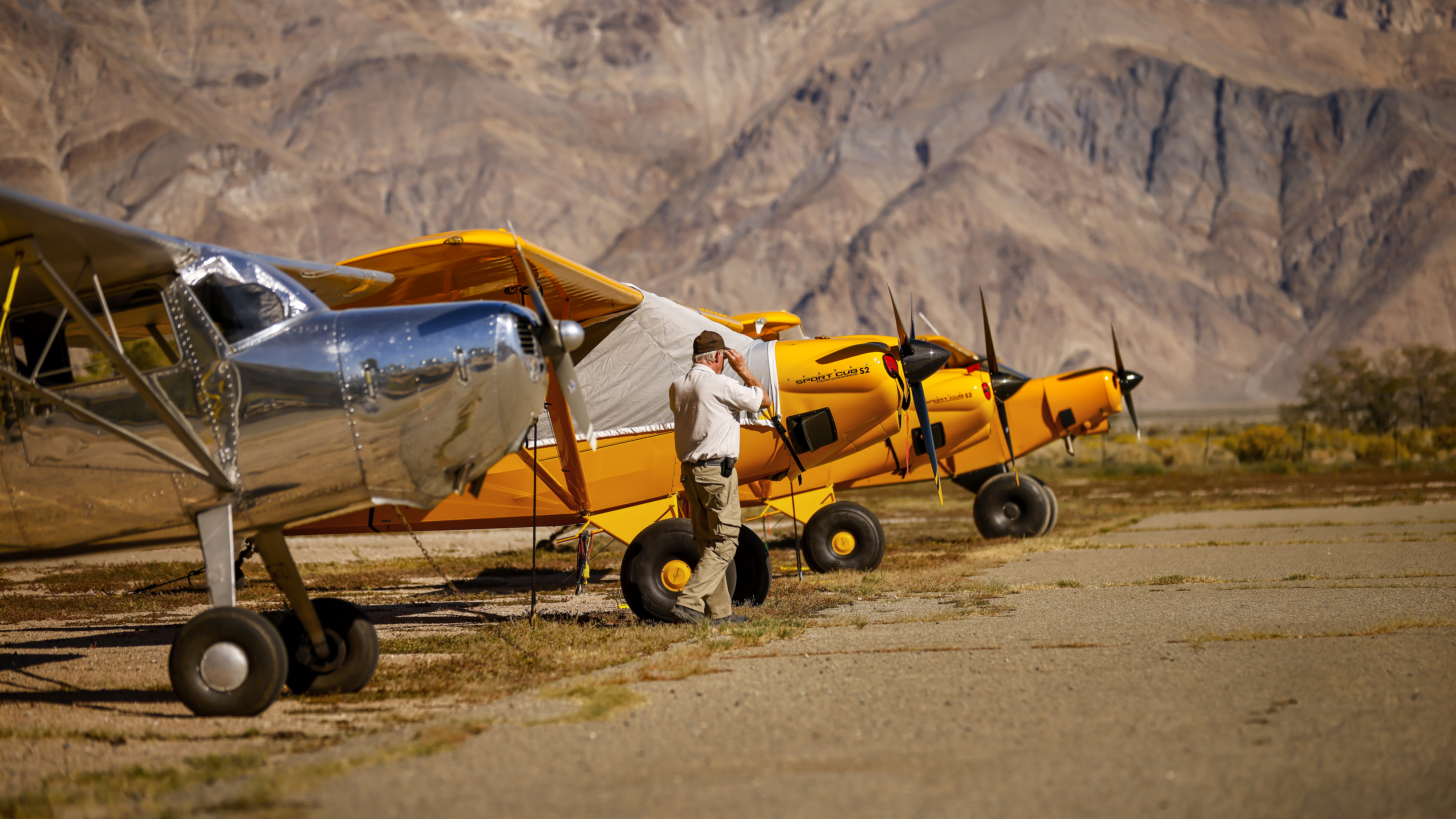Airplanes lined up and ready for a day of adventure.