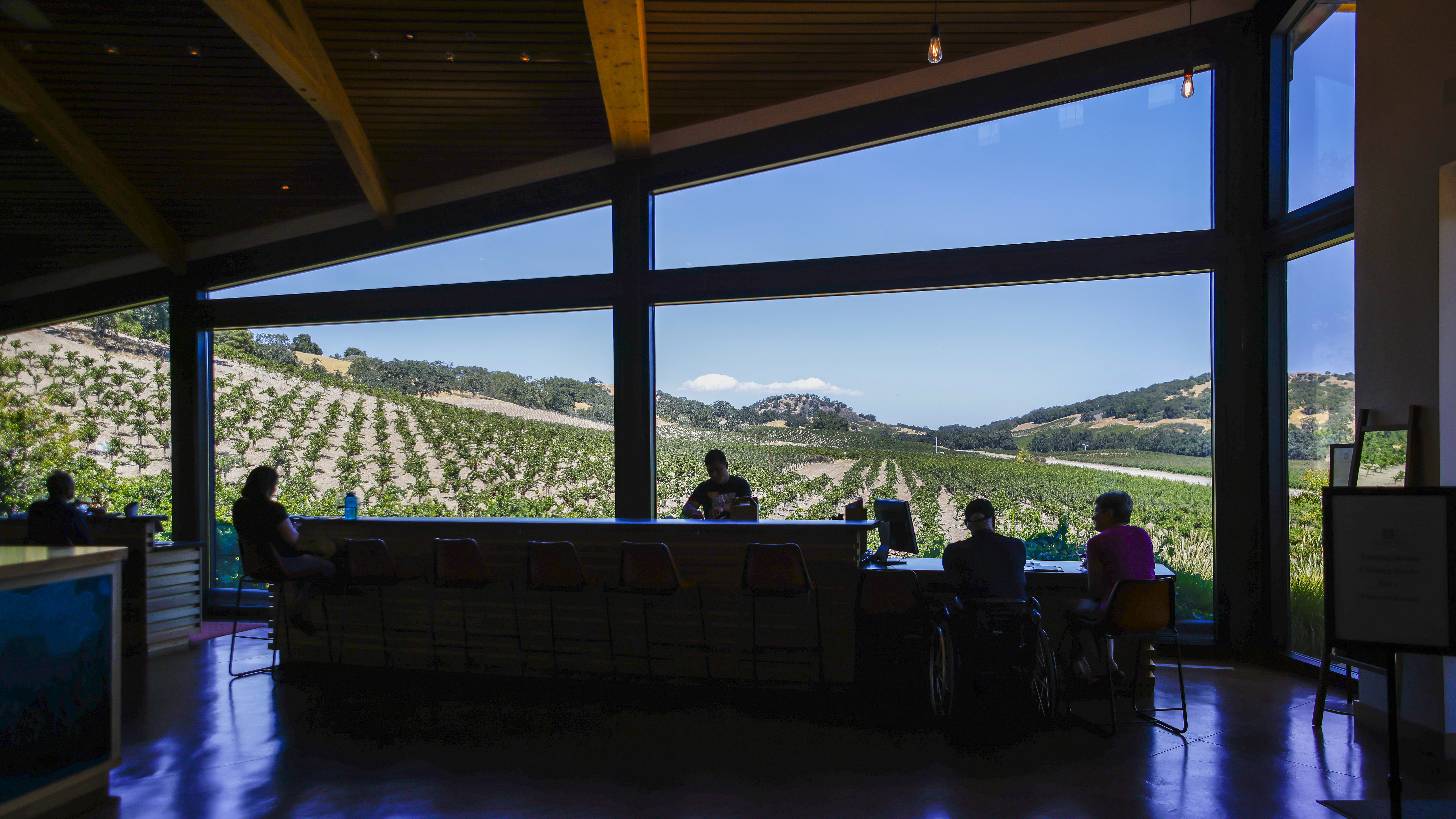 The view from the tasting room offers a glimpse of vines, the Ancestor tree, and, most important, the runway.