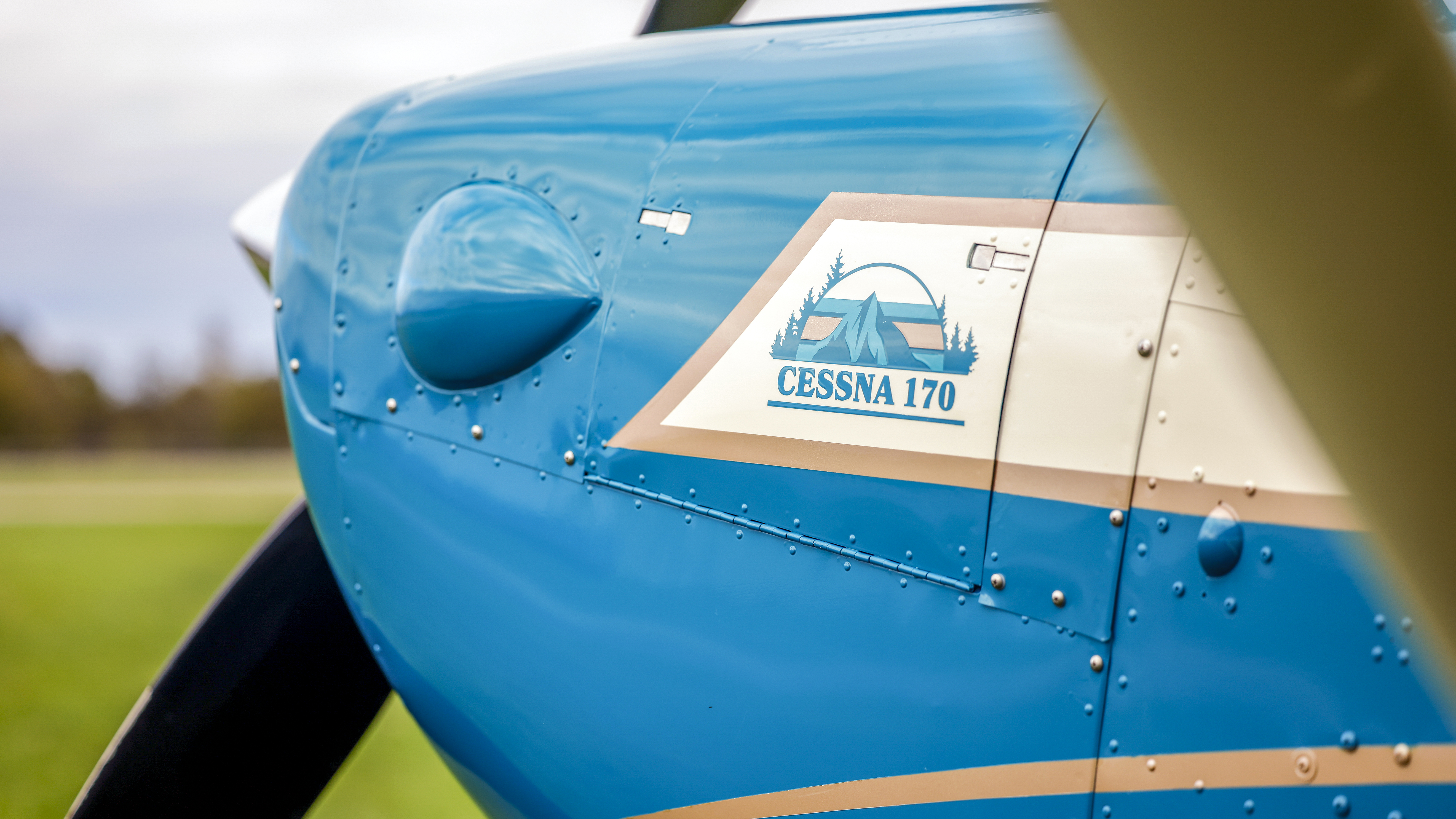 Paint and Panel Process