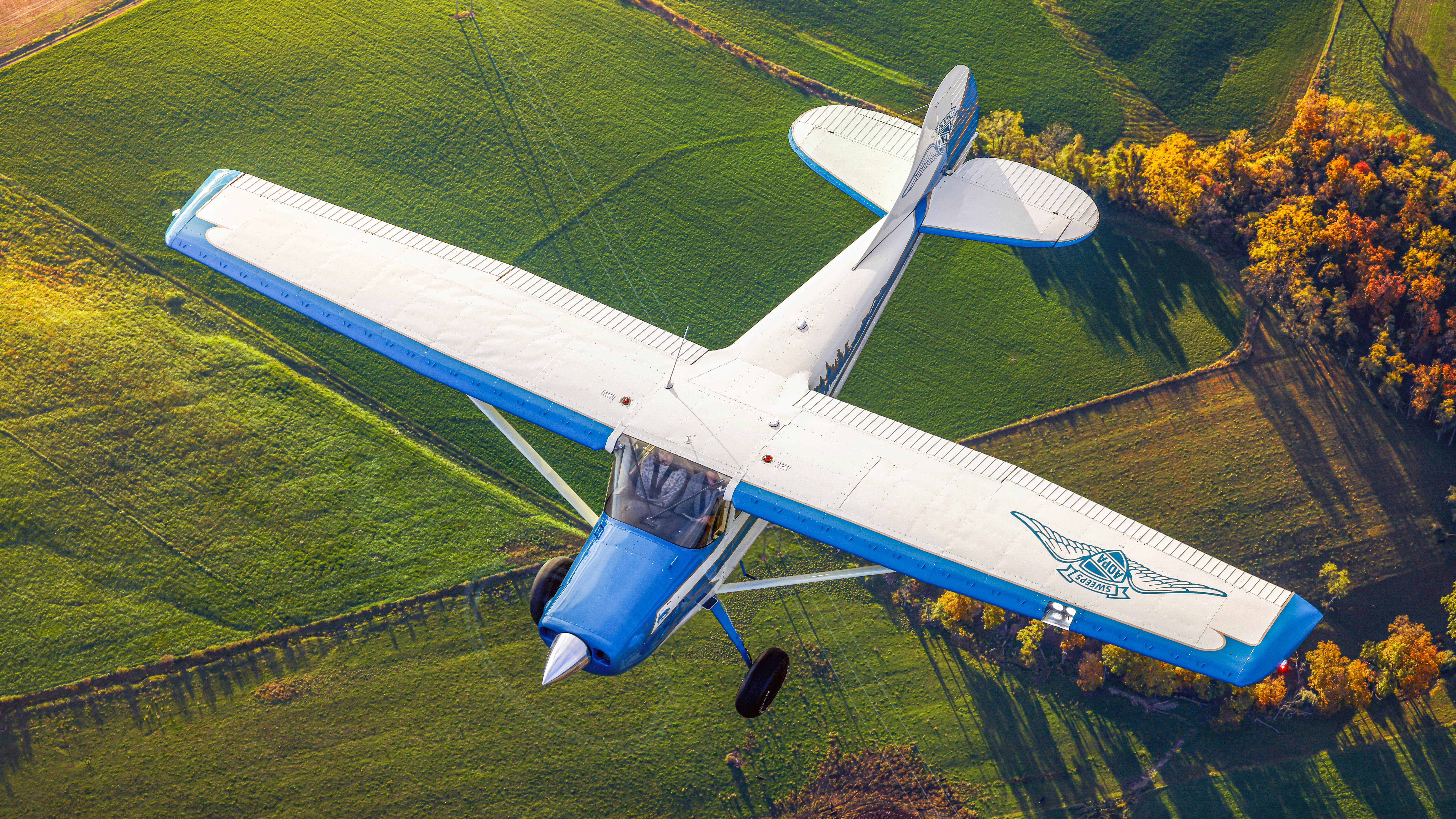 Paint and Panel Process