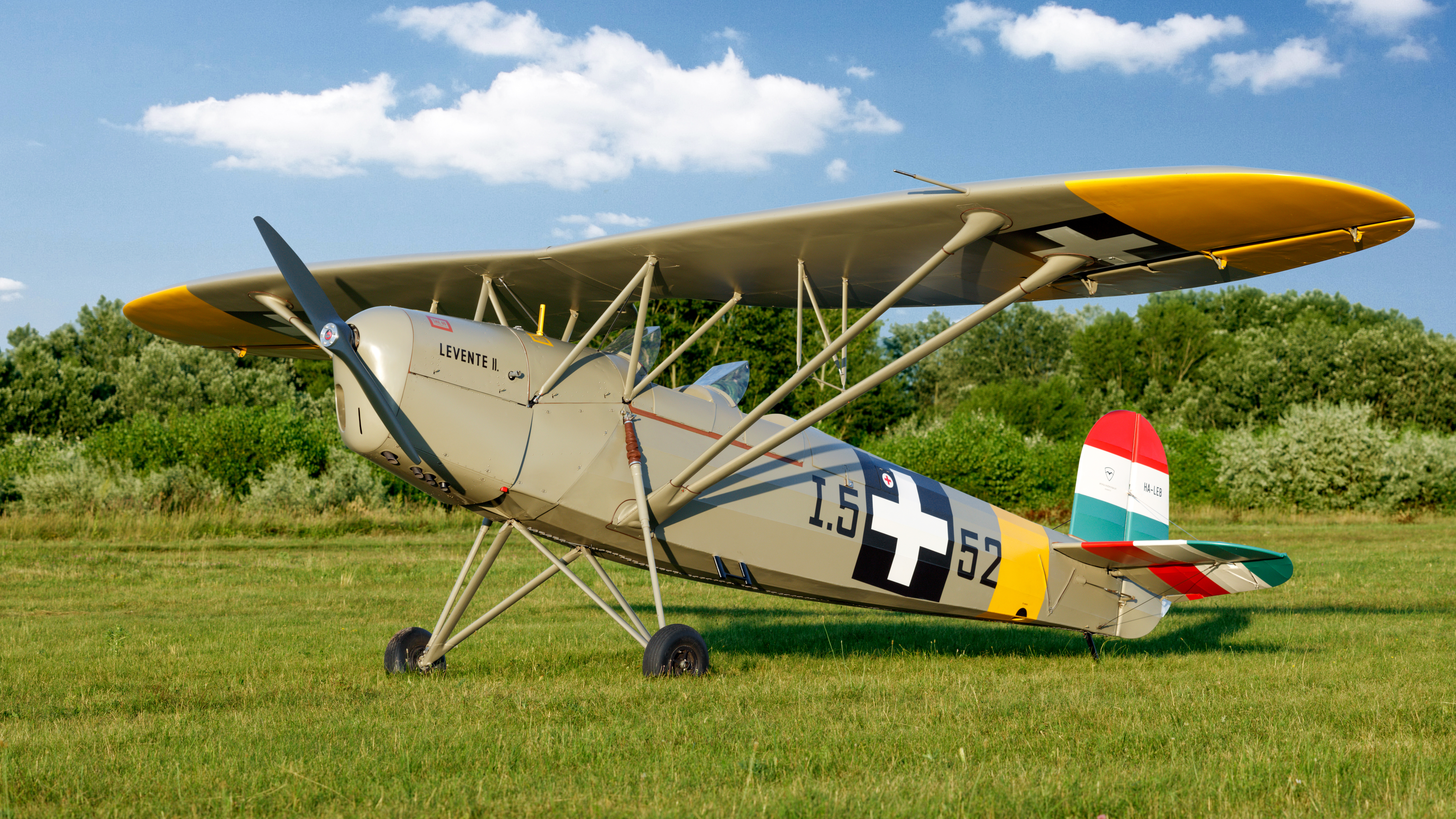 The brand-new Levente II, at large in its native habitat: a Hungarian grass field.