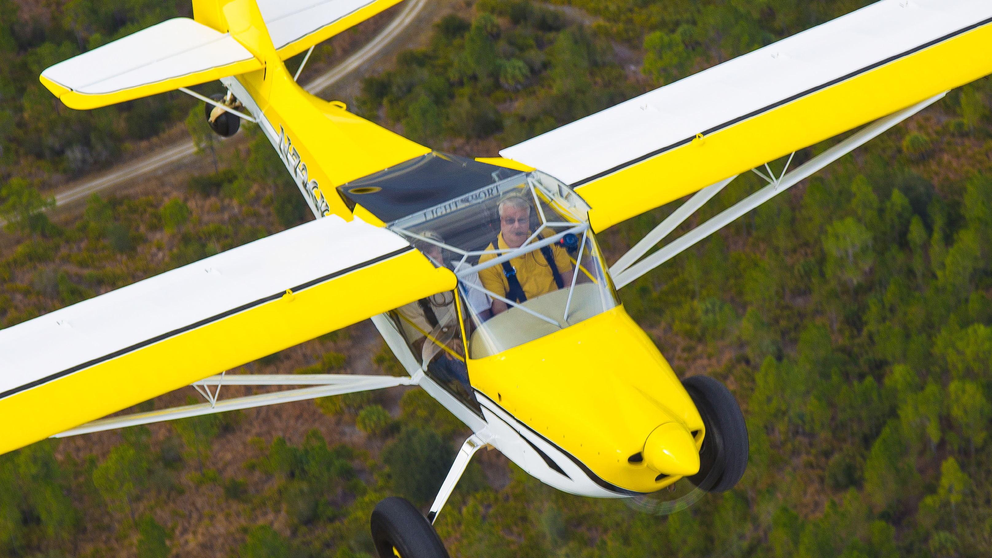A Kitfox
