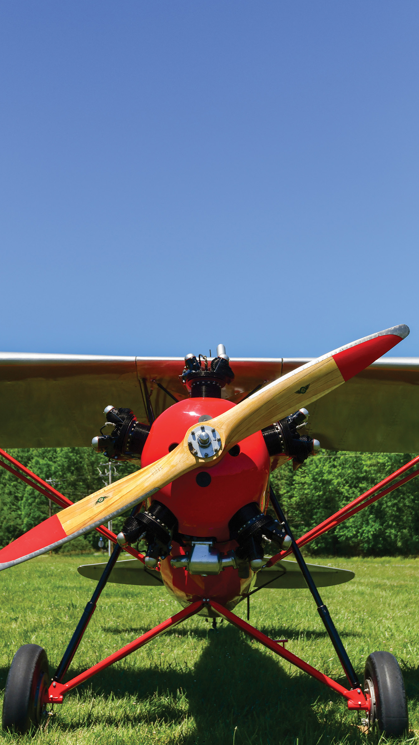 Photography by Mike Collins.