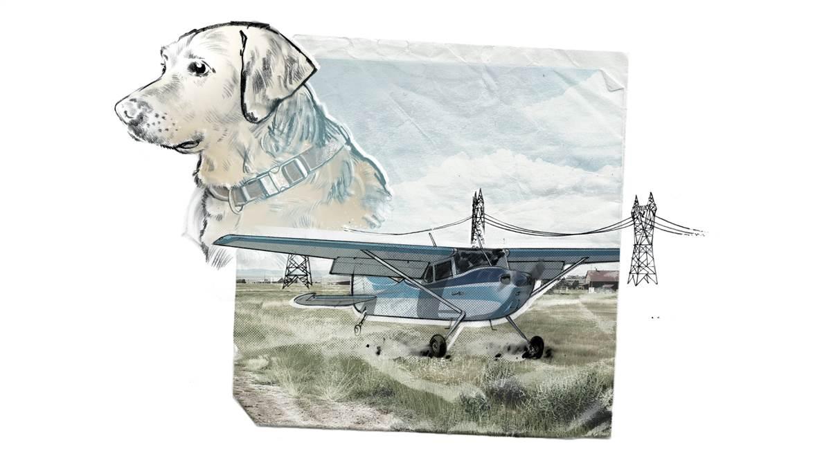 Illustration by James Carey.