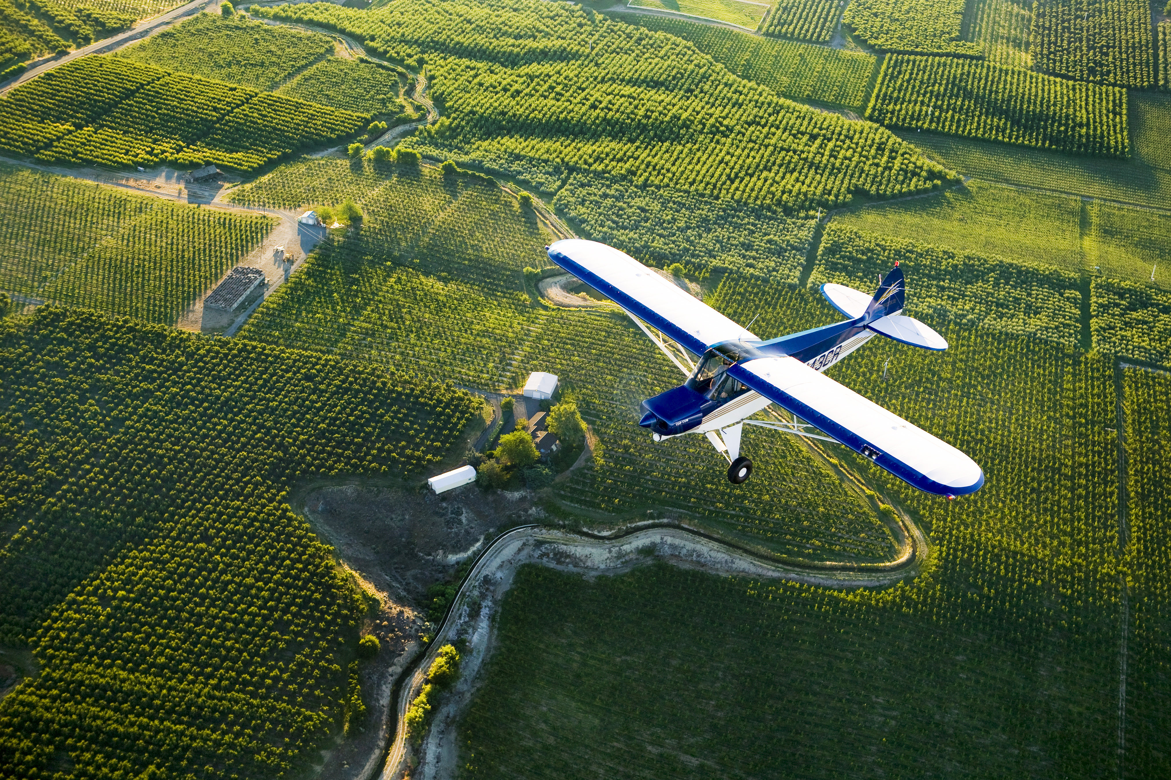 Photo by Mike Fizer.