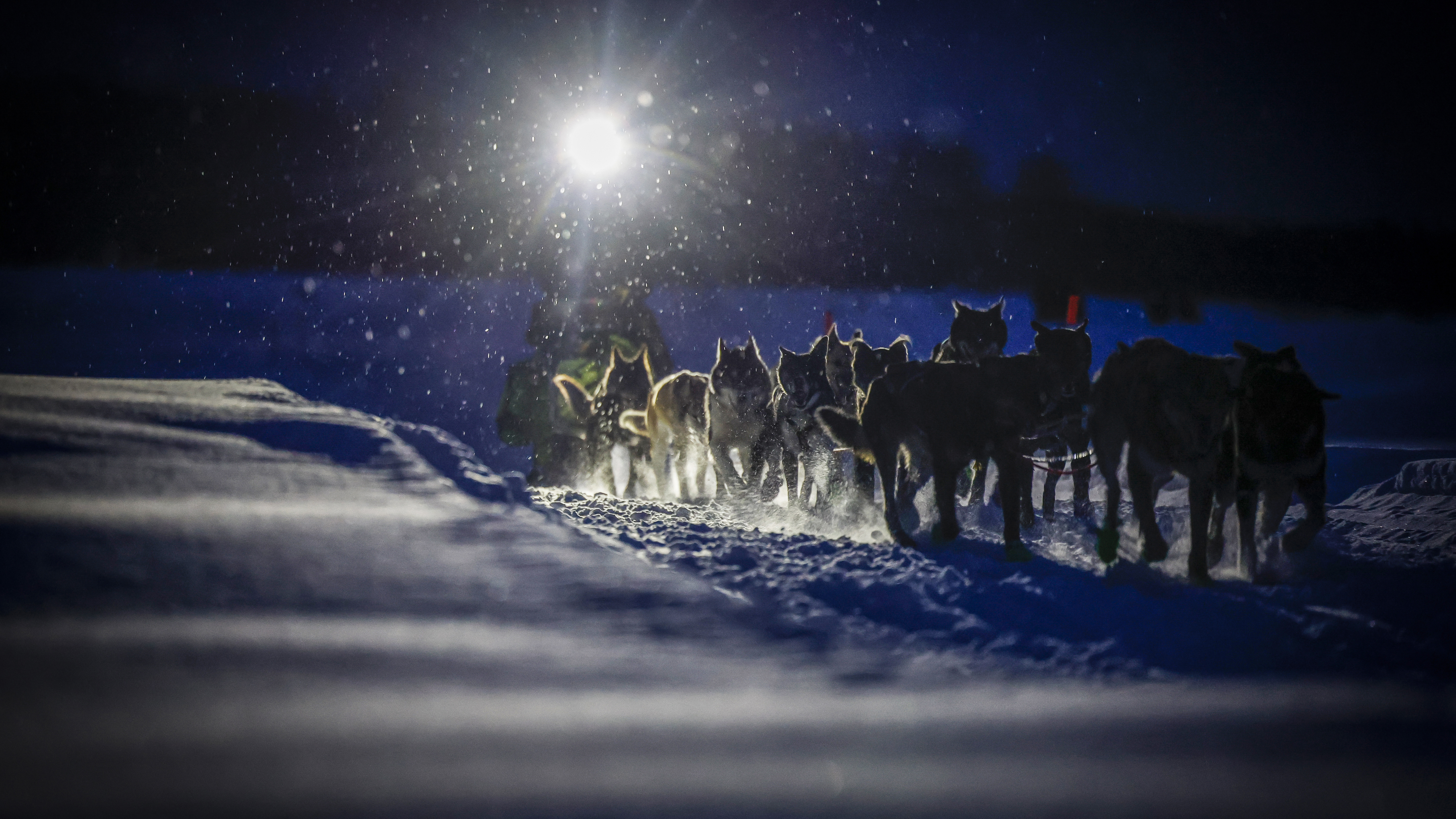 The deep dark of the Alaskan winter night is broken only by the musher’s headlamp as the team approaches the McGrath checkpoint, warmth, and rest. 