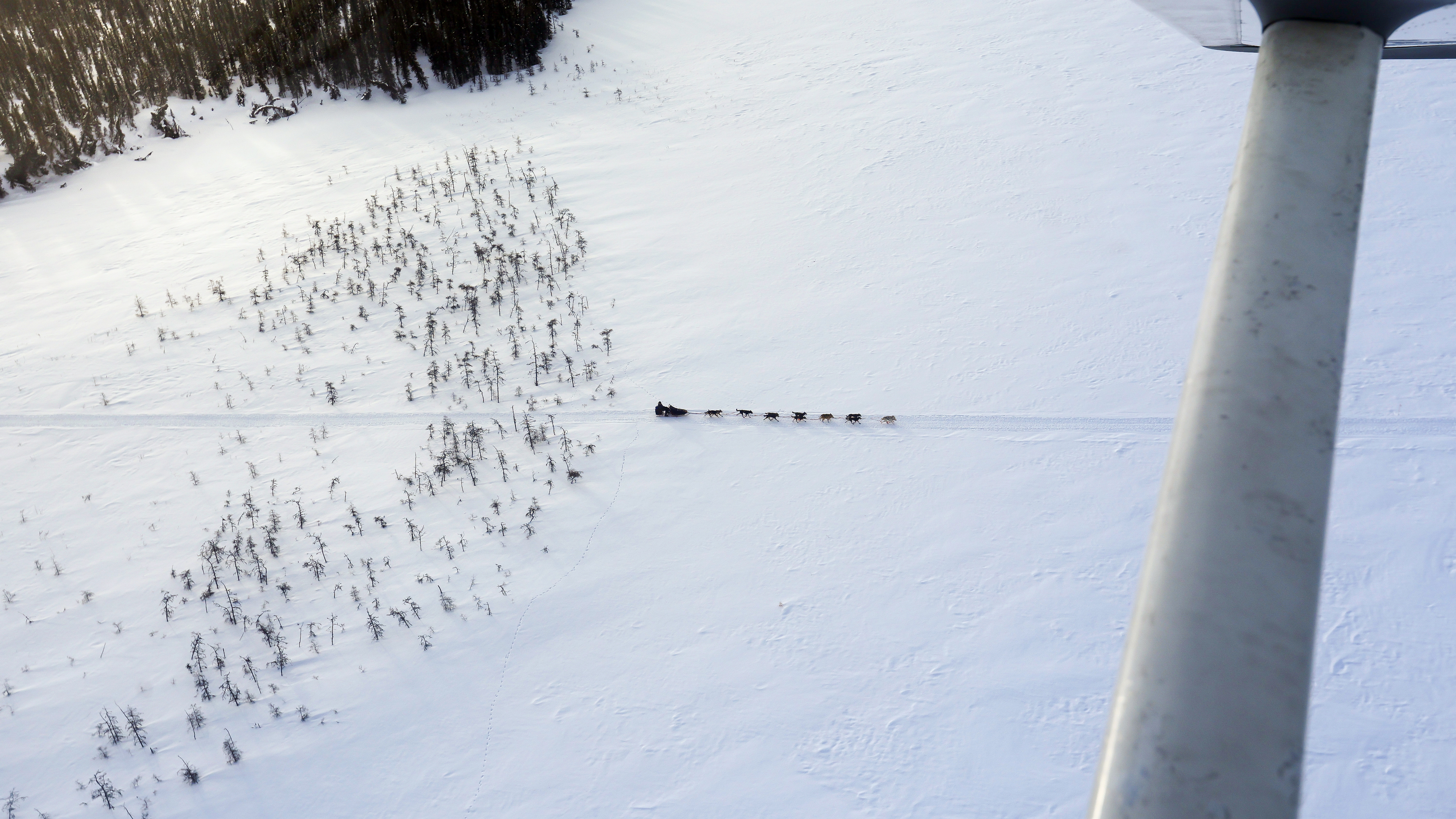 The Iditarod trail is accessible by dog team, snowmobile, or skiplane. 
