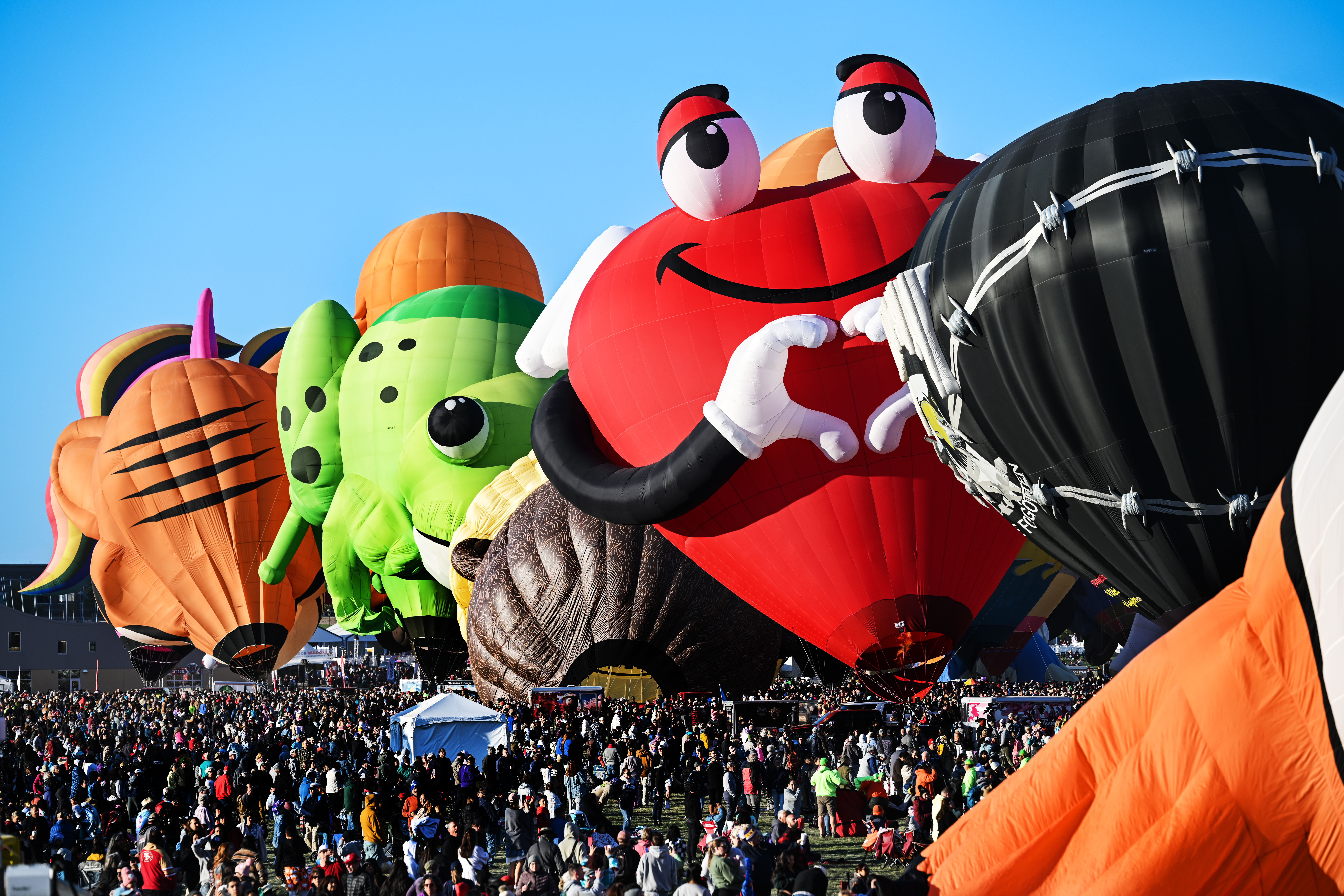 Photography by David Tulis.