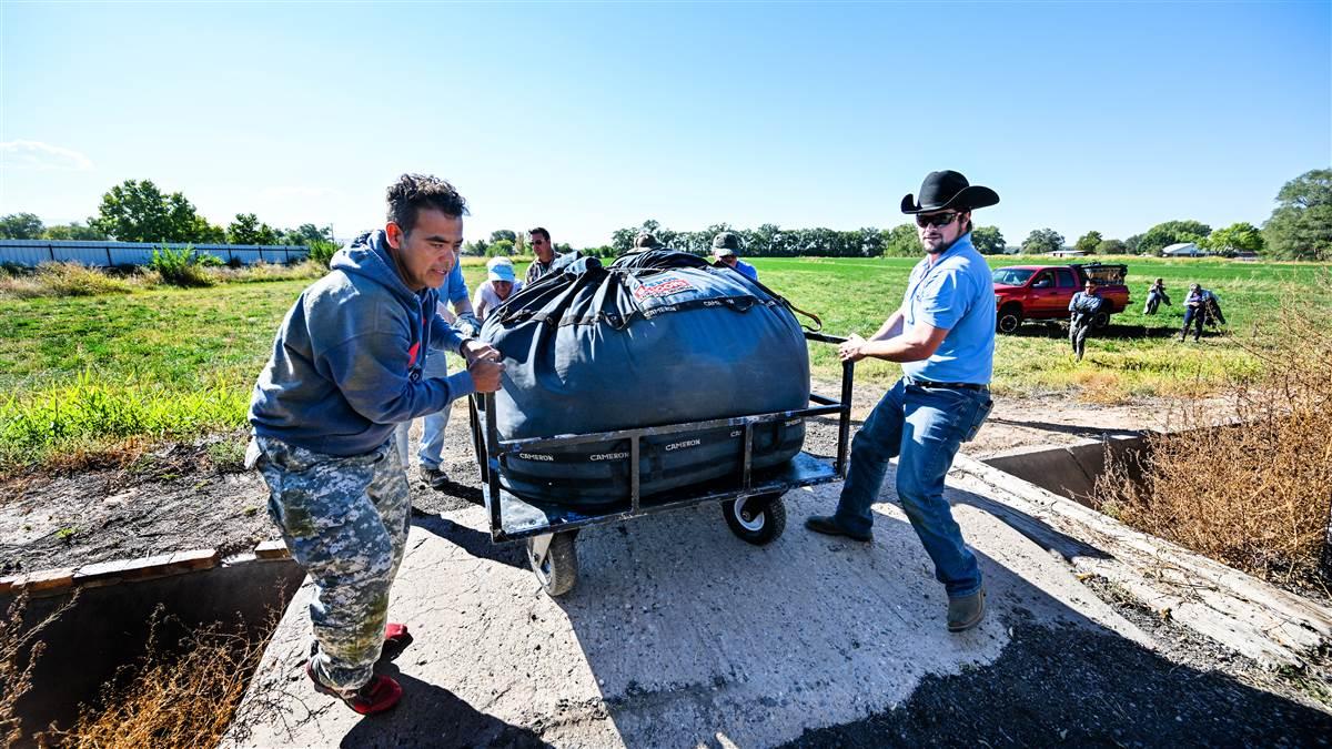 Members of Endeavor Ballooning’s chase crew pack Bud E. Beaver into a cart to be secured, stored, and transported back to the Balloon Fiesta field.