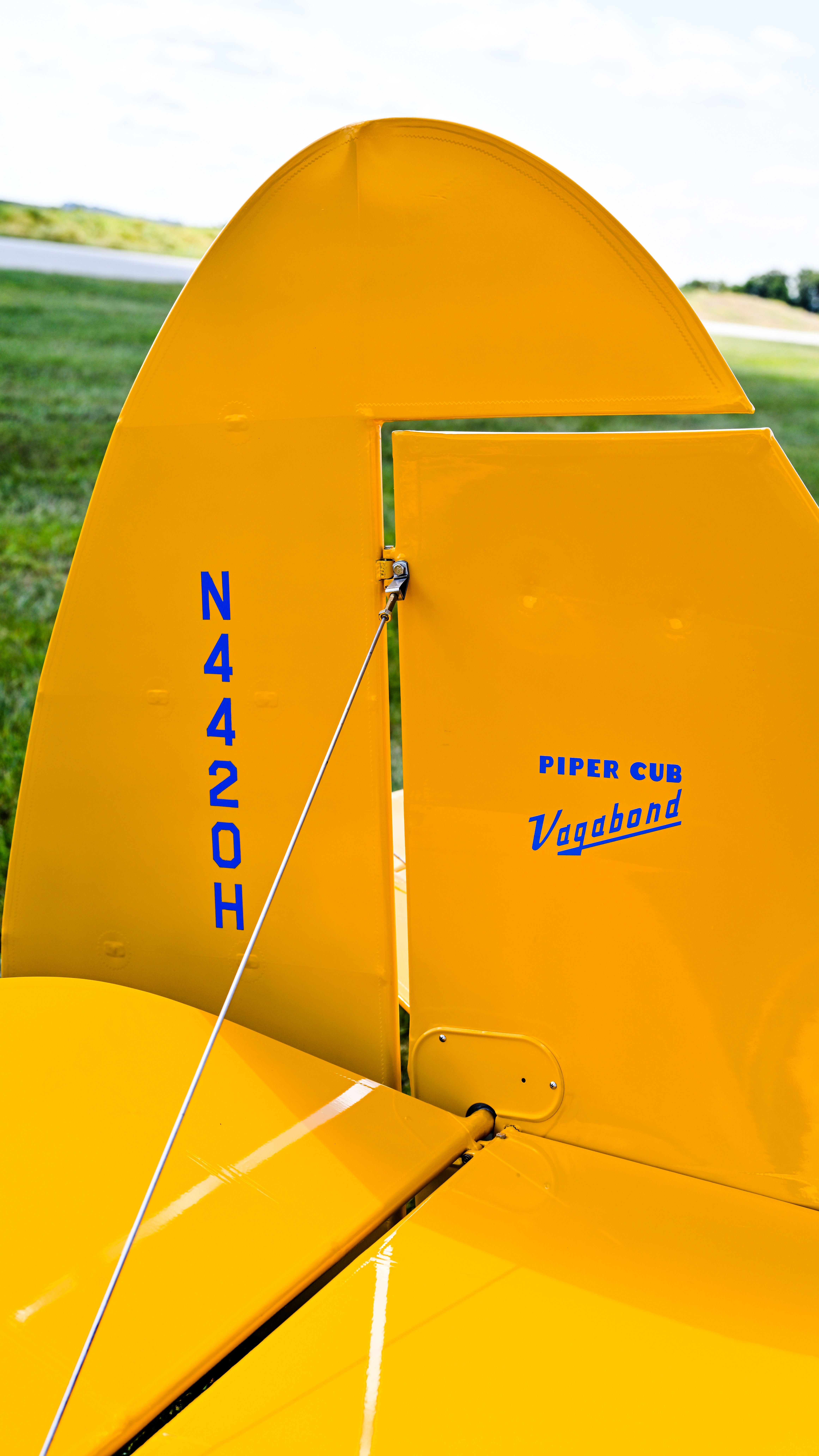 Photography by David Tulis.