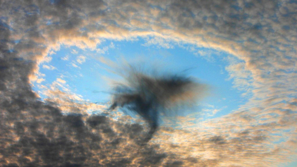 Photo courtesy of H. Raab