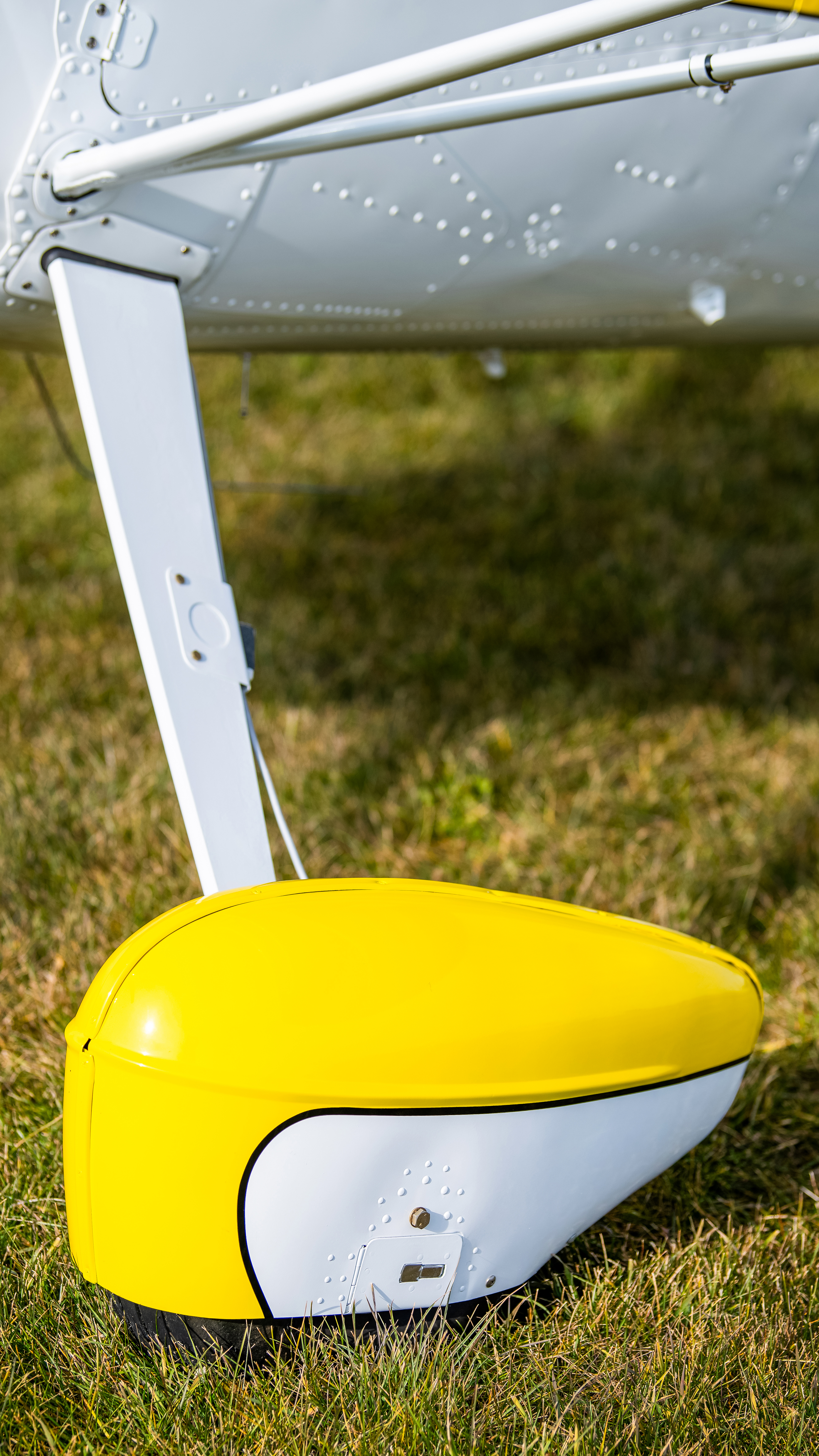 Photography by Leonardo Correa Luna