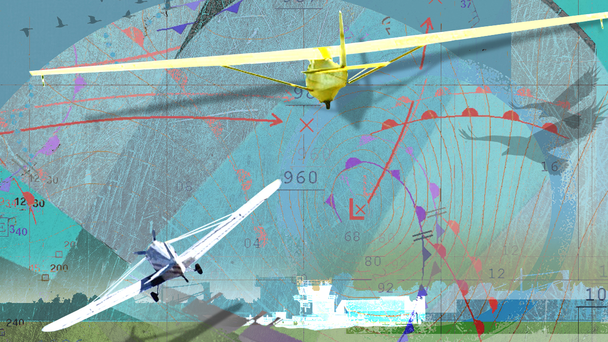 Illustration by Sarah Jones