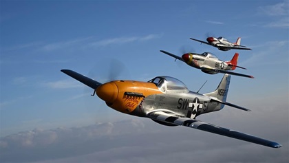 ScaleWings SW–51