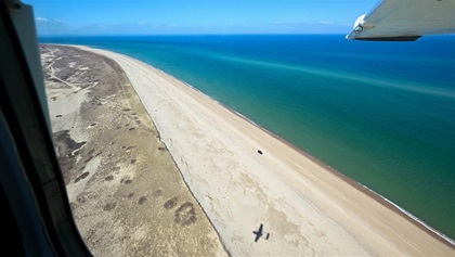 Observers will use past data and current conditions to determine which of the many Massachusetts-area bays are best primed for any given day’s'survey.