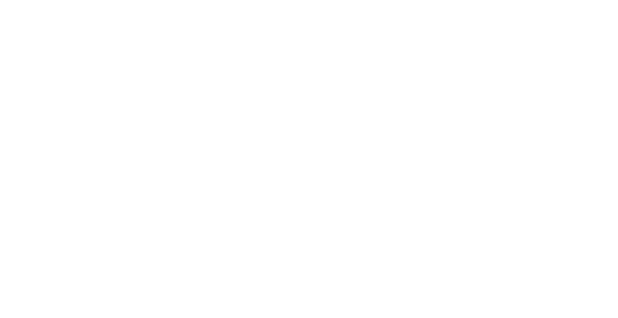 Sky Service