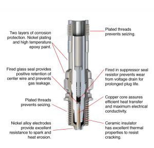 Champion spark plug cutaway (new)